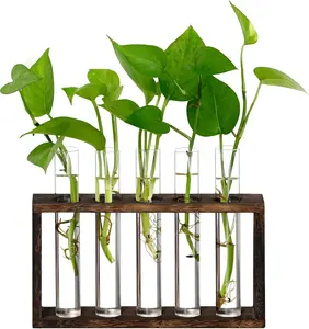 Plant Propagation Station - Wall Hanging Terrarium Planter with 5 Test Tubes for Indoor Plants, Ideal for Garden & Office Decoration