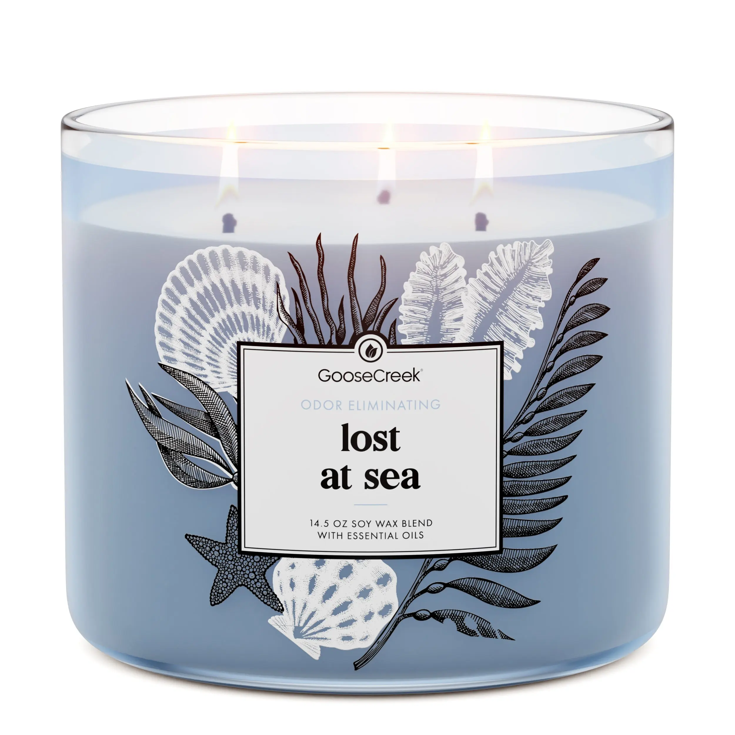 Lost at Sea 3-Wick Deodorant Candle, Highly Scented Odor-Eliminating Household Home Decor Candle, Highly Scented Candles