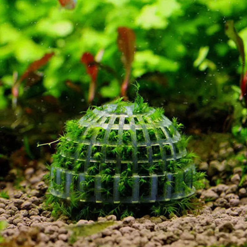 3pcs Aquarium Moss Ball Holder, Fish Tank DIY Moss Ball Shape Former Modeling, Moss Ball Holder Filter for Aquarium Moss Plant Landscape Decor Fish Tank Scenery Ornament