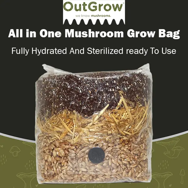 All in One Mushroom Grow Bag - Manure Based All in One Mushroom Grow Bag - Manure Based