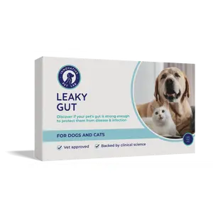 Leaky Gut