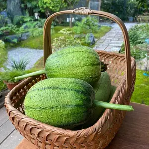 1 to 500 Apple Luffa Seeds for Planting - Muop Tao, Rare Heirloom Non-GMO Vegetable