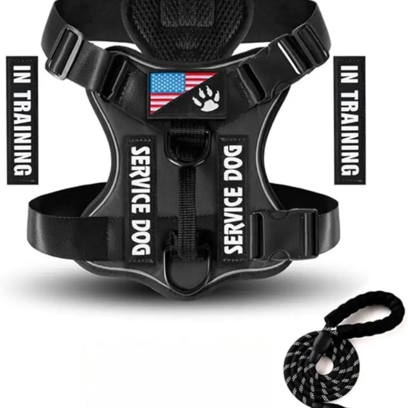 1pcs Service Dog Harness And Leash Set Reflective Dog Vest Harness with Patches, Adjustable Soft Oxford Pet Harness, Inner Layer Mesh, Easy to Control for Dogs, Leash Included