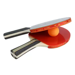 Professional High Elasticity Table Tennis Racket Set, Indoor Outdoor Training Kit, Sports Equipment for Advanced Players, Table Tennis Paddle