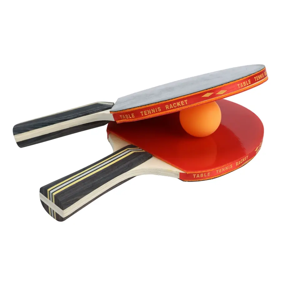 Professional High Elasticity Table Tennis Racket Set, Indoor Outdoor Training Kit, High Performance Sports Equipment for Advanced Players, Table Tennis Paddle, Game