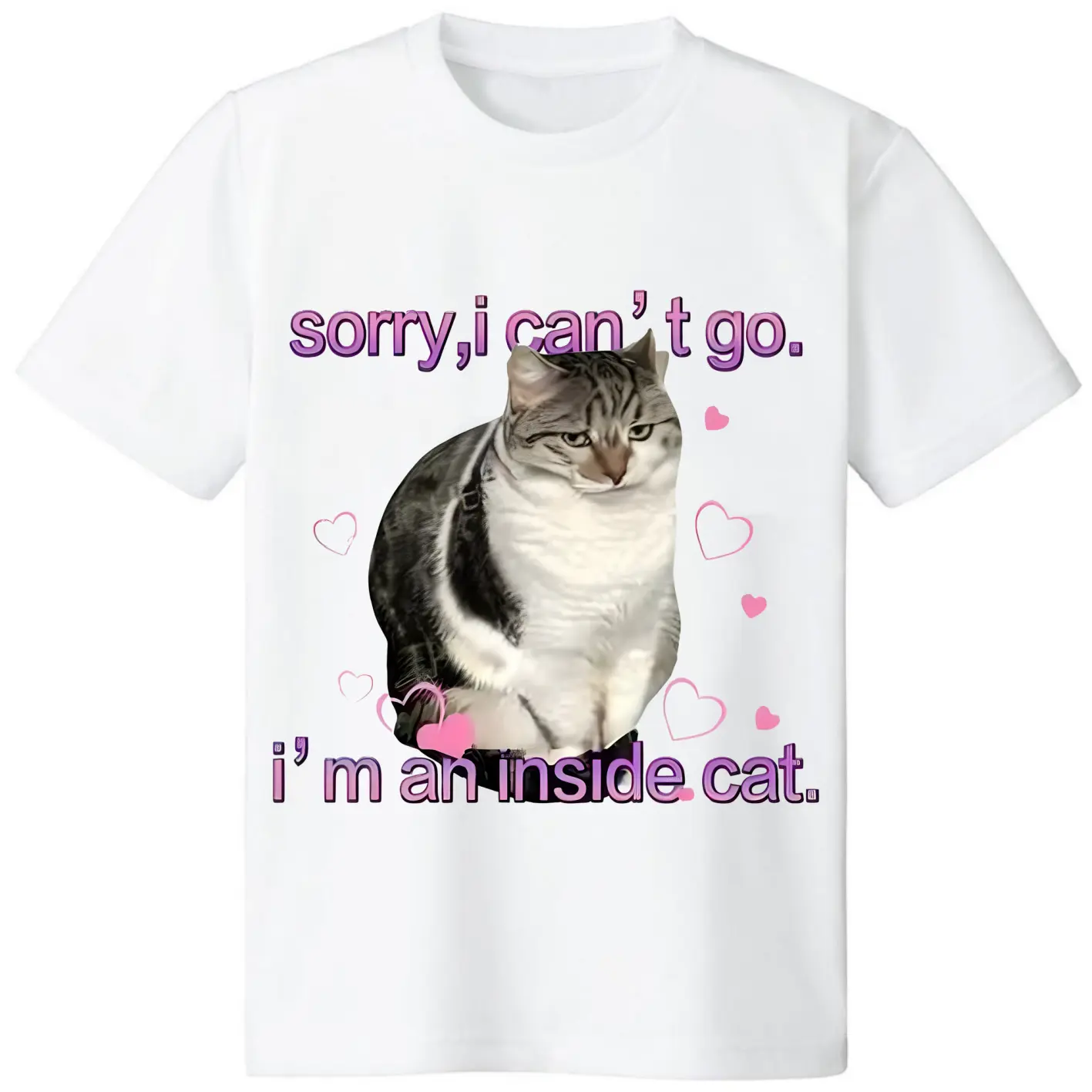 I'm an Inside Cat Y2k Funny Tee for Men and Women, Unhinged Graphic Tees, Funny Sweatshirt Exchange