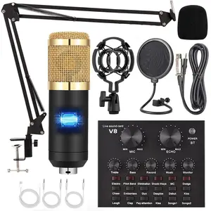 Professional Wireless Live Sound Card Equipment, BT Connection BM-800 Microphone Set, DJ Sound Control Equipment Mixer with Sound Converter/Mixer, Audio Interface