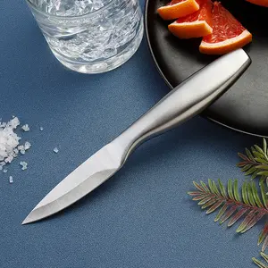 Stainless Steel Fruit & Vegetable Paring Knife, Ergonomic Handle Peeling Knife for Home Kitchen