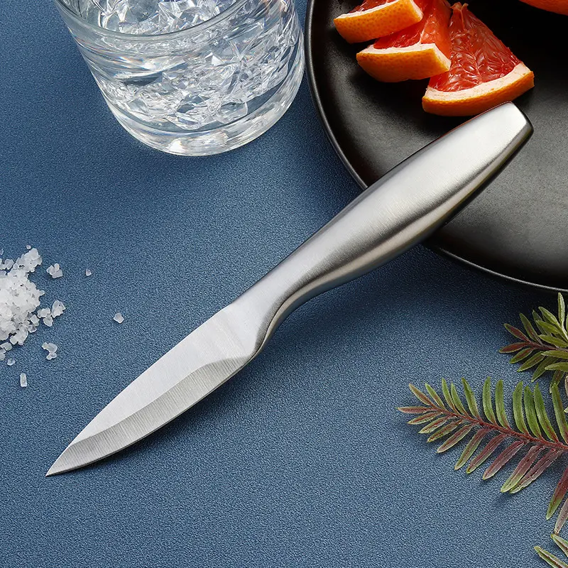 1-Piece Small Size Stainless Steel Kitchen Knife with Seamless Integrated Handle, Sharp Blade for Citrus Cutting & Vegetable Prep, Sharpening Compatible Kitchenware, Fish Scale Design, Perfect Gift Option, One-Piece