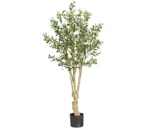5' Olive Tree by Nearly Natural