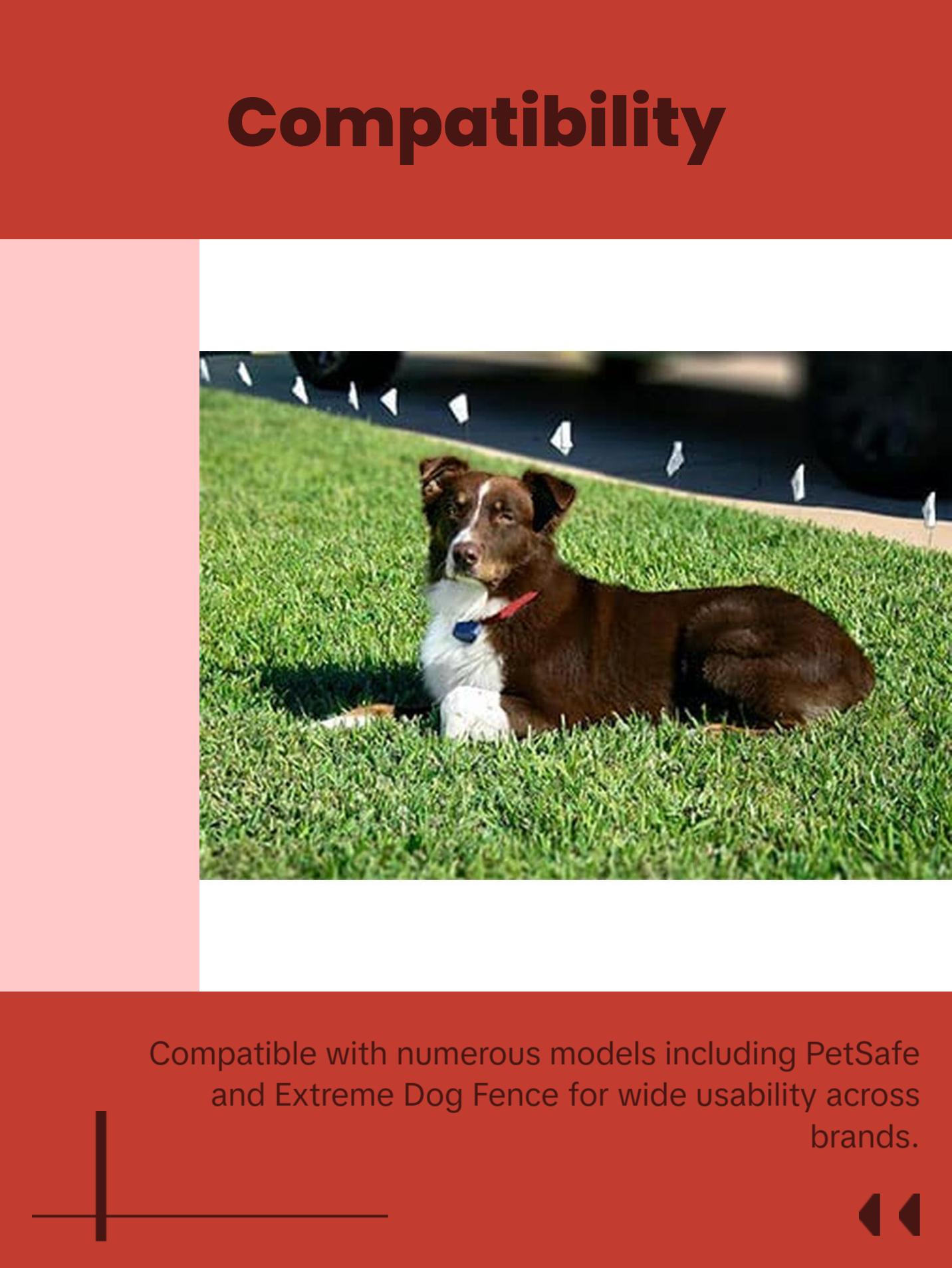 Dog Collar Replacement Strap - Bright Orange - Compatible with Nearly All Brands and Models of Underground Dog Fences