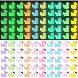 100pcs Luminous Mini Resin Duck 10 Colors Glow in The Dark Tiny Duck Little Small Ducks Figures for Dollhouse Aquarium Decor Micro Fairy Garden Landscape Hide and Seek Prank Toys