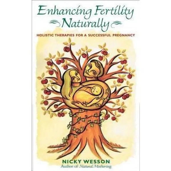 USED-Enhancing Fertility Naturally: Holistic Therapies for a Successful Pregnancy by Nicky Wesson (Paperback)