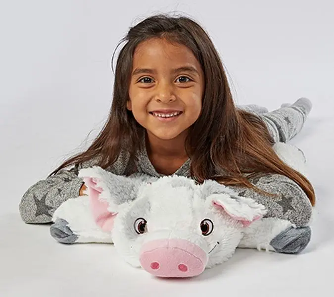 Pillow Pets Plush Character Pal and Pillow Pillow Pets Plush Character Pal and Pillow