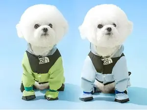 Colourtree Green Dog Raincoat, Waterproof Rain Jacket with Hood Shaped Leash Detachable Tail Cover, All - Around Protection Small Dogs