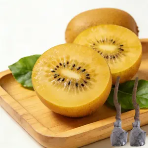 Sun Gold Kiwi Fruit Tree Seedlings | Easy to Grow Home Garden Fruit Plants Lovely | Choice for Home Gardeners