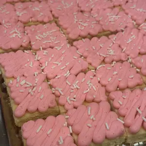 Cake/icing decorating kit