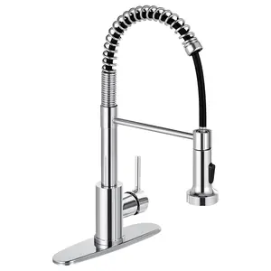 Single Handle Kitchen Faucet with Dual Spouts, High Arc Faucet, Foldable Stainless Steel Mixer, Spring Installation Design, Ideal for Simultaneous Sink Use,Configure two G3/8 adapters