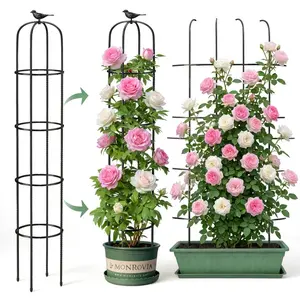 6.2ft Garden Obelisk Trellis for Climbing Plants Rustproof Metal Pipe with Heavy Duty Plastic Coated Garden Outdoor Indoor Potted Plant Support for Clematis Vine Jasmine Support