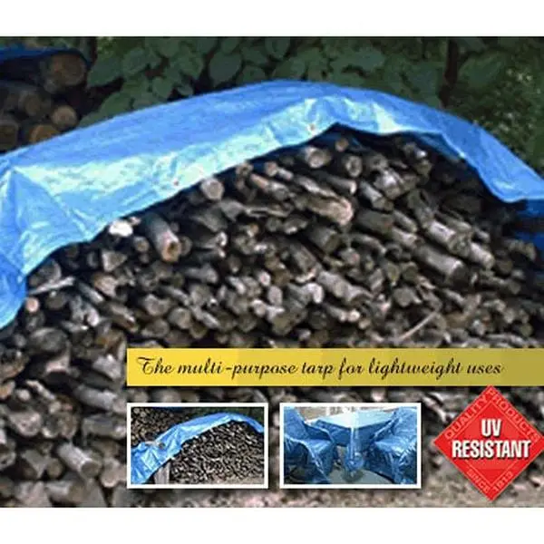 The Dize 000942 20 in. x 20 in. Poly Tarp
