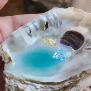Wishing Pool Oyster Shell