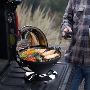 Graphite Beach Fire Gas Grill