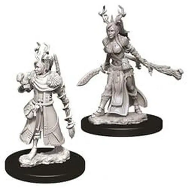WizKids WZK73701 Dungeons & Dragons Nolzurs Marvelous Female Human Druid W9 Detailed Fantasy Deep Cuts Collectible Miniature, Home Decor Statue Figurine