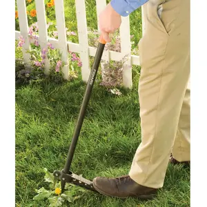 Extended Reach Lawn/Garden Weeder