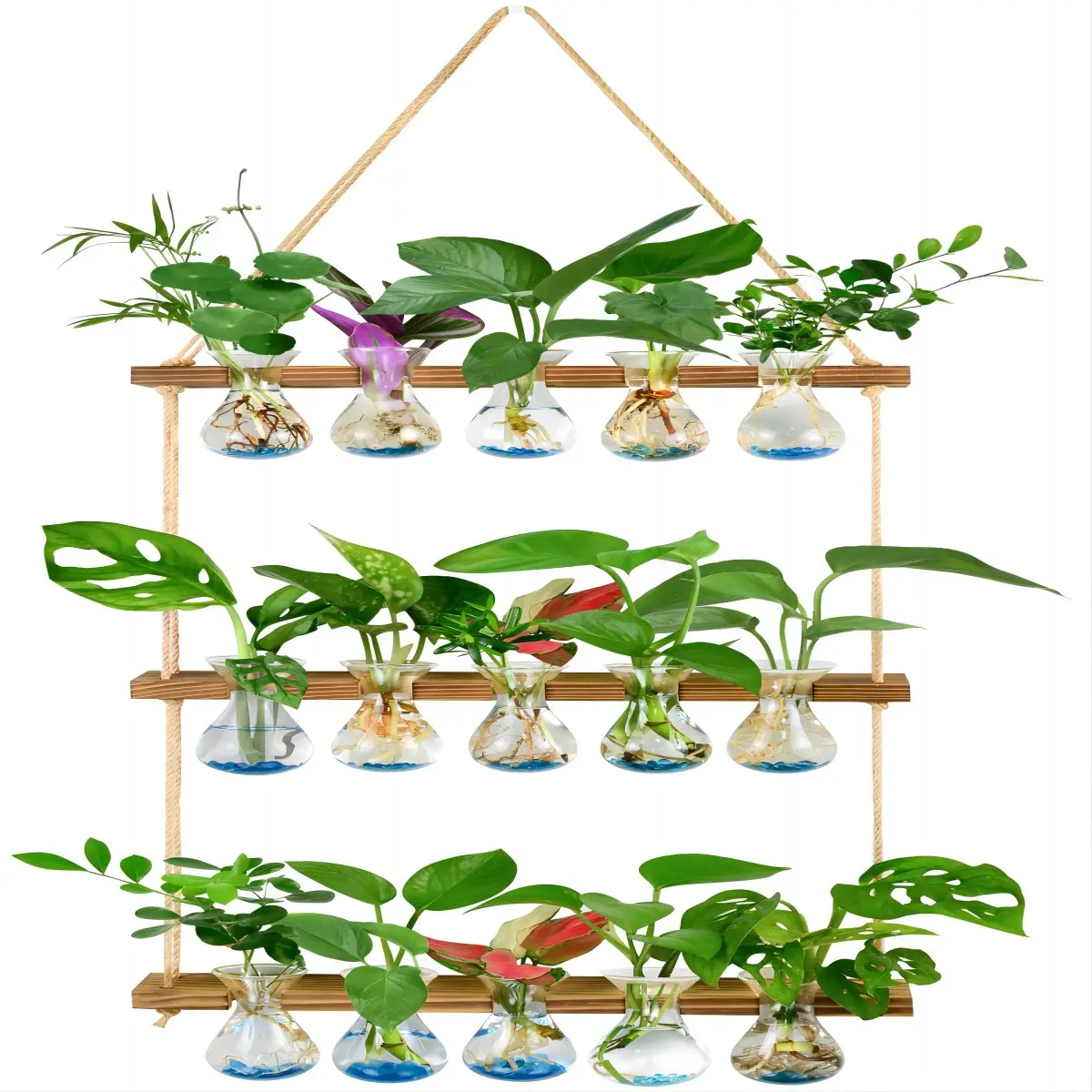 XXXFLOWER Wall Planter Hydroponic Propagation Station - 3-Bulb Water Vases, 5-Tiered Holder, Flower Design Home Office Decor, Ideal Mother's/Valentine’s Day Gift for Indoor Use (Home Supplies, Vase & Fillers)