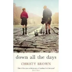 USED-Down All The Days by Christy Brown (Paperback)