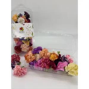 Freeze-Dried Edible Flowers (Mini Carnations and Bachelor Buttons)