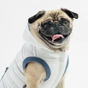 Dog Jacket White - Noah