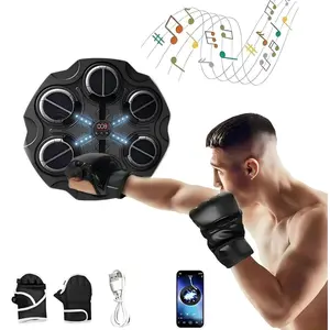 Electronic Kids Punching Game, LED Lights Music Boxing Target, Wall-mounted Fitness Toy with Adjustable Speed and Volume, Punching Equipment for Home
