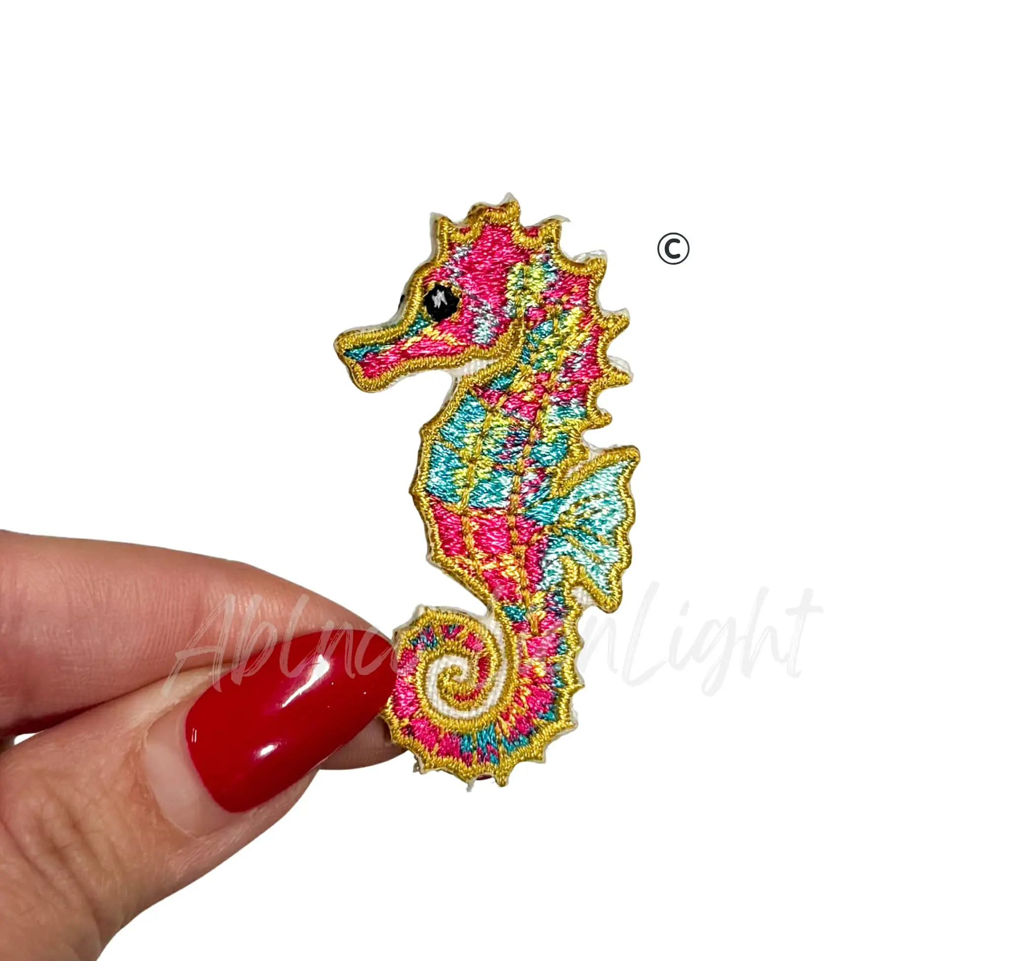 Multicolor Seahorse Summer Embroidered Patch-Small