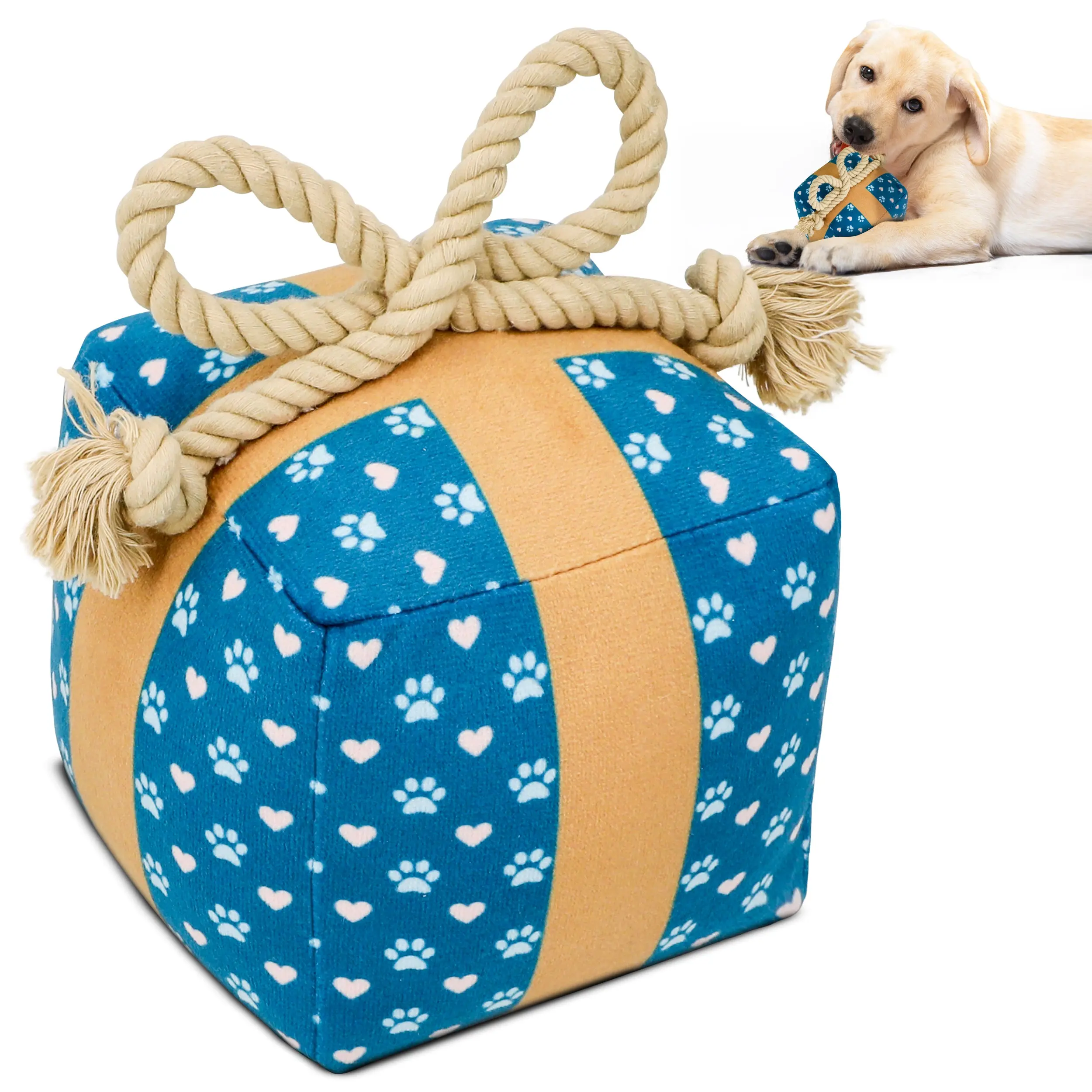 PUPROAR Gift Box Squeaky Dog Toy - Fun Christmas Present & Puppy Stocking Stuffer with Durable Rope for Tugs and Engaging crinkle
