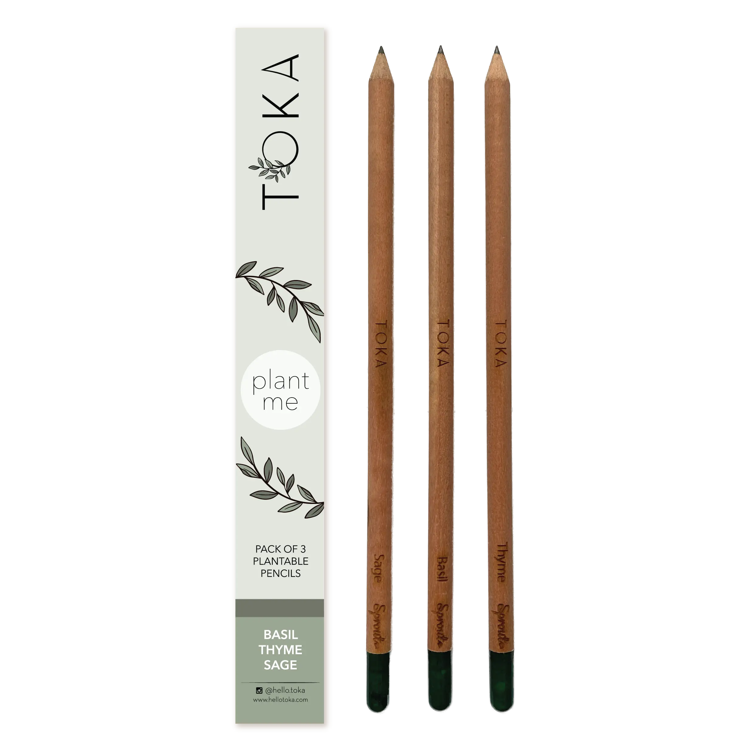TOKA | Plantable Pencils | 3 Pack | Herbs