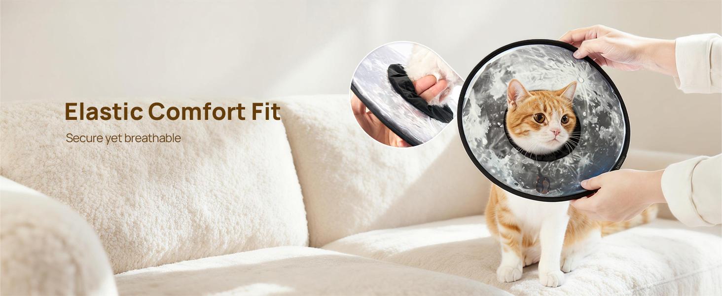 【SpringGlowUp】HICC PET Pet collar,Cute Cat  Waterproof Cat Recovery Collar,Anti-Bite Lick Wound Healing Safety Elizabethan e Collar for Cats,Purple Flower All-Season Style