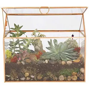 D'Eco Glass House Plant Terrarium (10"x6"x8") Tabletop Gold Geometric Planter Terrarium - Home, Garden, Office Decor- Plant Lovers & Mother's Day