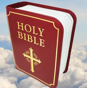 Booze Book Cooler - Book Cover with Gold Cross, Includes Decorative Binding, Ideal for Relaxation and Comfort