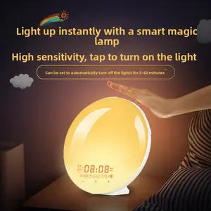 [Black Friday] ecozy Sunrise Alarm Clock for Heavy Sleepers, Smart Wake Up Light with Sunrise/Sunset Simulation Decor Adjustable Radio