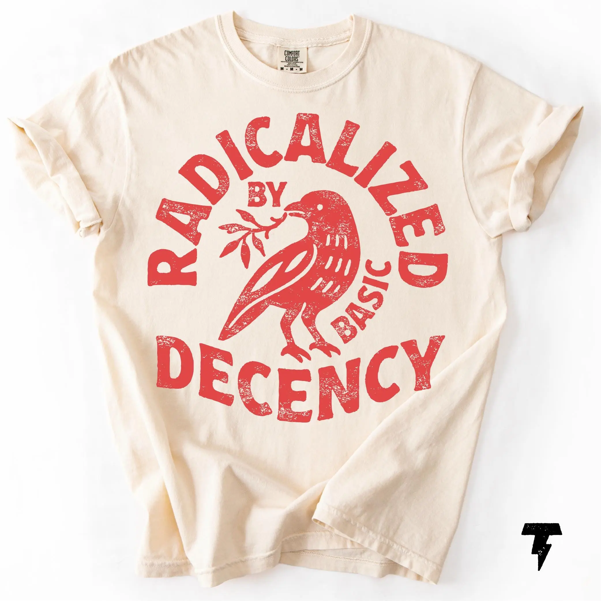 Radicalized By Basic Decency T-shirt, Activist Tee Graphic T-shirt, Tees, Crewnecks, Hoodies – Ideal Gifts for Both Genders - Gift For Idea
