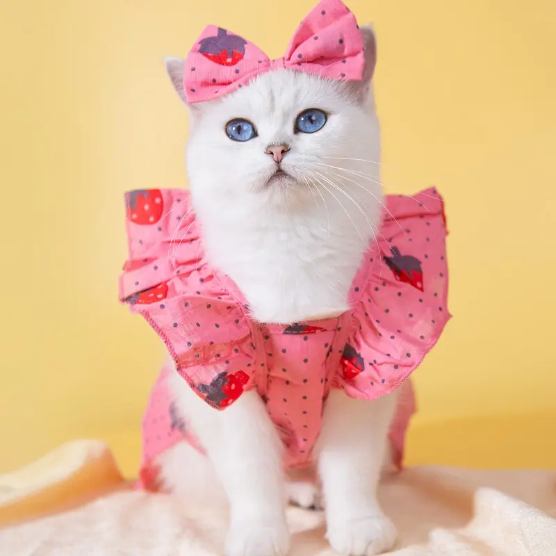 cat birthday dress #birthday #baby #cat #unleashthetails #dress