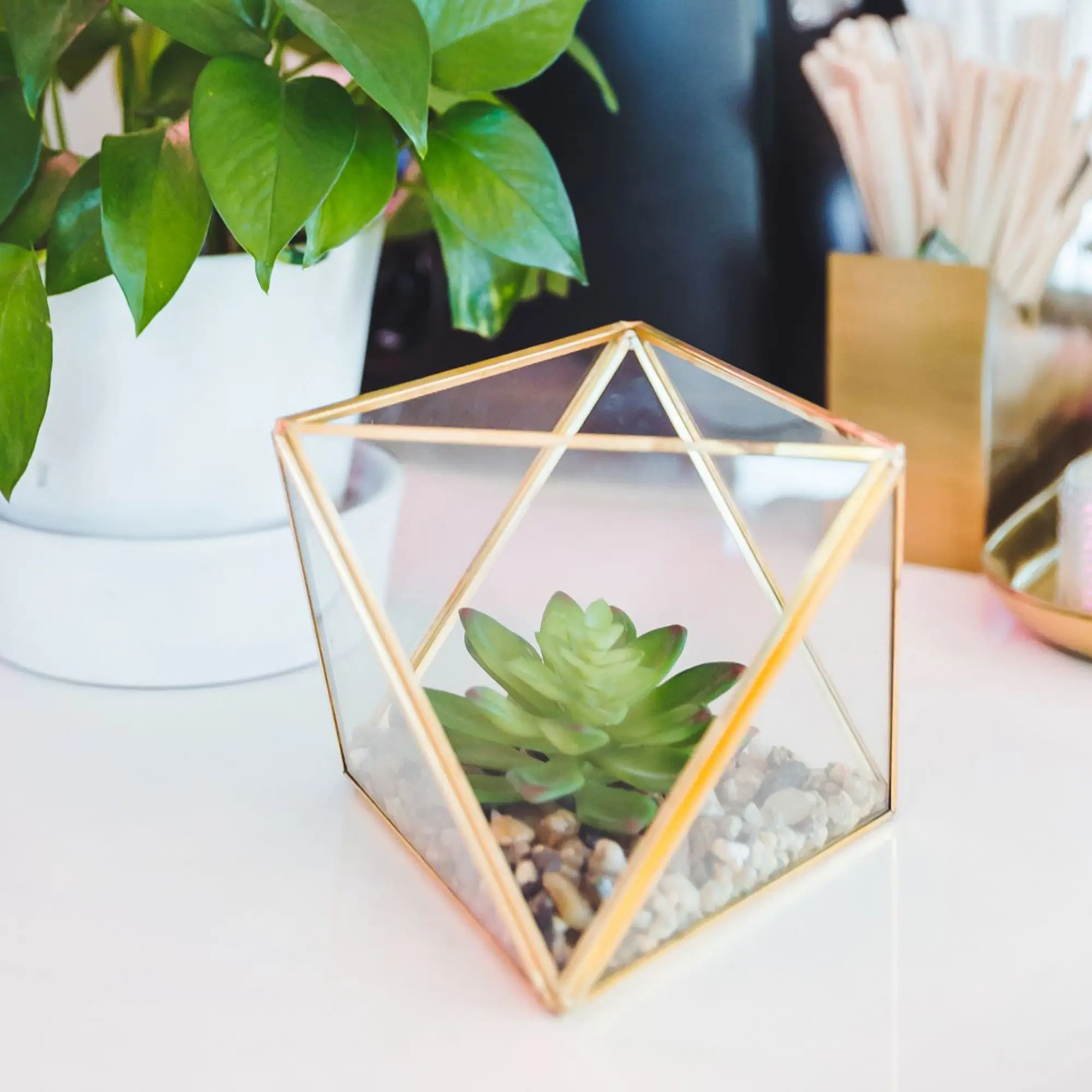 Open Top Terrarium with Faux Succulent Garden - 7"x 6.25"x 5" Glass with Gold Edge Detailing for Indoor Display