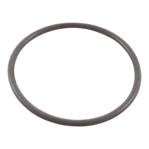 Hayward MaxFlo XL Strainer Cover O-Ring