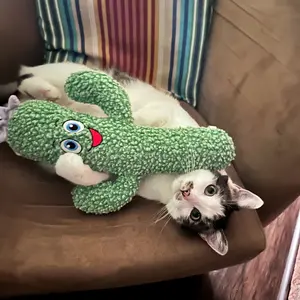 KONG Kickeroo Cactus, Plush Cat Toy w/ Catnip