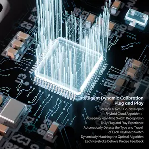 GATERON GT60 Lite Magnetic Keyboard PCB, Adjustable Actuation - Compatible with GH60-60% Keys - Esports Tenkeyless RGB PBT Keycaps USB-C HE PCB