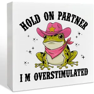 Hold On Partner I'm Overstimulated Frog Wood Box Office Desk Decor Sign, Novelty Desk Decor, Funny Gifts for Coworkers Colleagues Friends, Funny Office Desk Accessories for Women Men 5x5 inch