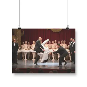 [POSTER No FRAME] Funny Timothe Fall Down Poster, Meme Poster, Home Decor Room, Decor For Wall, Gift For Fan