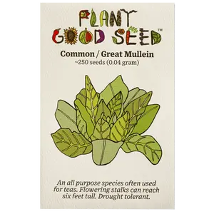 Common / Great Mullein Seeds for Planting: Verbascum, Yellow Flowers, Tea Herb, Certified Organic - 250 Seed Packet / Bulk Pack