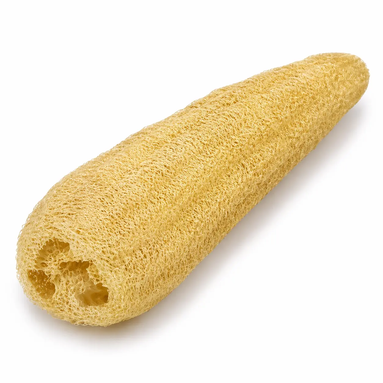 One Whole Egyptian Loofah 100% Natural SPA Beauty Bath Sponge Body Scrubber Puff. Premium Quality Lofa Loofa Luffa Loffa for exfoliating Your Skin.